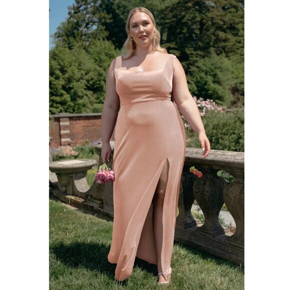 Jenny Yoo Mara Velvet Maxi Dress Prosecco 20 Pink NWT - Picture 1 of 8
